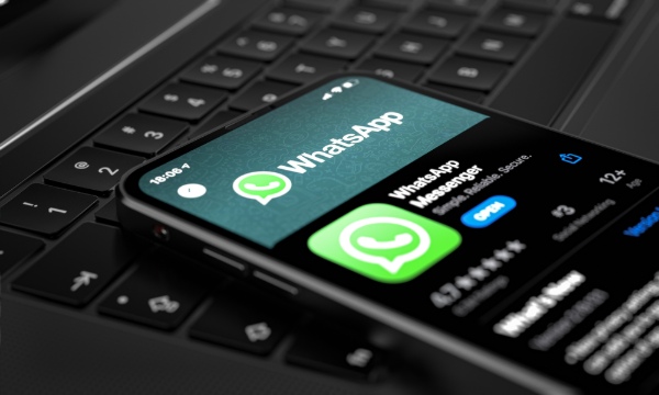 See My Husband's WhatsApp Messages